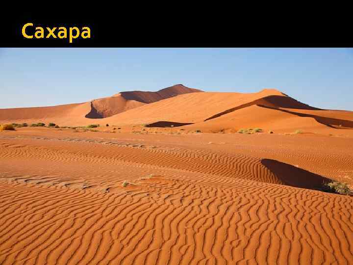 Сахара 