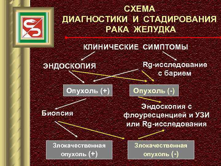 СХЕМА ДИАГНОСТИКИ И СТАДИРОВАНИЯ РАКА ЖЕЛУДКА КЛИНИЧЕСКИЕ СИМПТОМЫ ЭНДОСКОПИЯ Опухоль (+) Биопсия Злокачественная опухоль