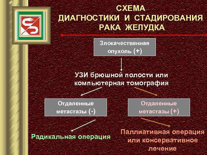 СХЕМА ДИАГНОСТИКИ И СТАДИРОВАНИЯ РАКА ЖЕЛУДКА Злокачественная опухоль (+) УЗИ брюшной полости или компьютерная