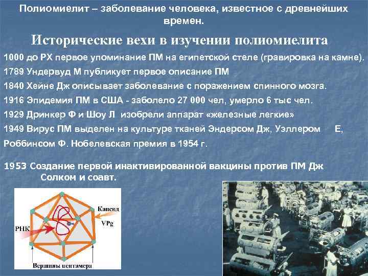 Полиомиелит – заболевание человека, известное с древнейших времен. Исторические вехи в изучении полиомиелита 1000