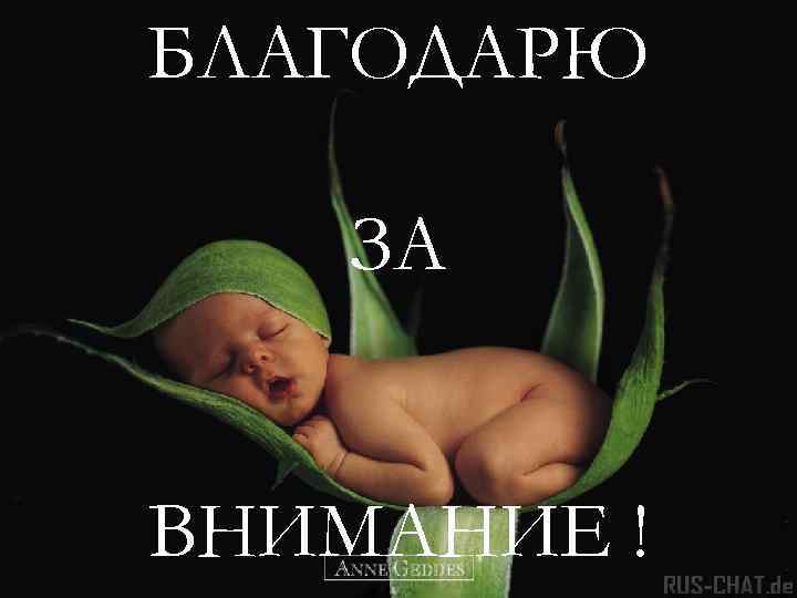 БЛАГОДАРЮ ЗА ВНИМАНИЕ ! 