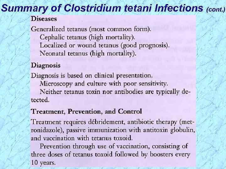 Summary of Clostridium tetani Infections (cont. ) 