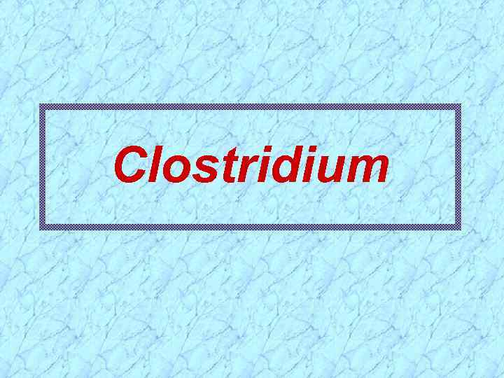 Clostridium 