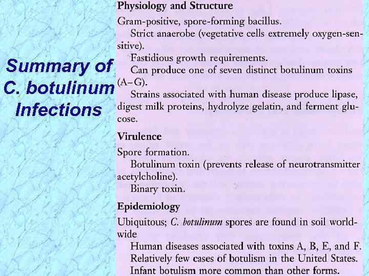 Summary of C. botulinum Infections 