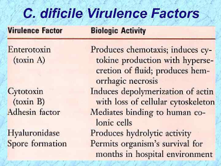 C. dificile Virulence Factors 