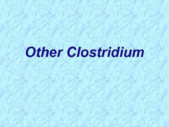 Other Clostridium 