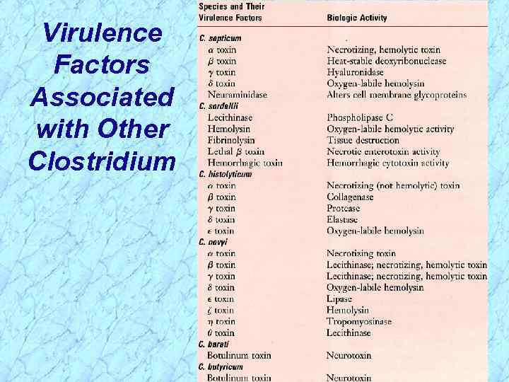 Virulence Factors Associated with Other Clostridium 