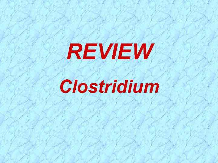 REVIEW Clostridium 