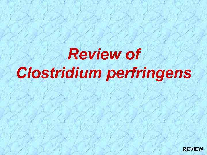 Review of Clostridium perfringens REVIEW 