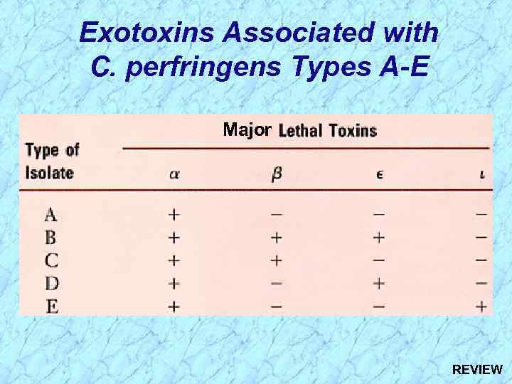 Exotoxins Associated with C. perfringens Types A-E Major REVIEW 