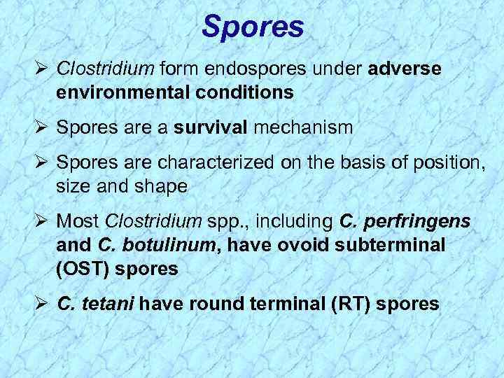 Spores Ø Clostridium form endospores under adverse environmental conditions Ø Spores are a survival