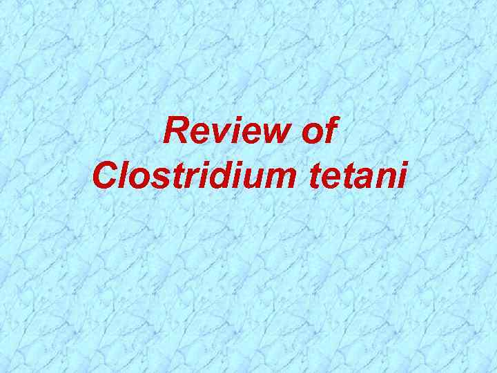 Review of Clostridium tetani 