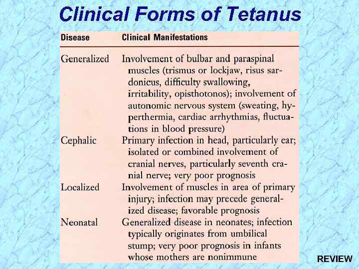 Clinical Forms of Tetanus REVIEW 