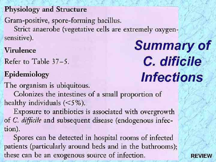 Summary of C. dificile Infections REVIEW 