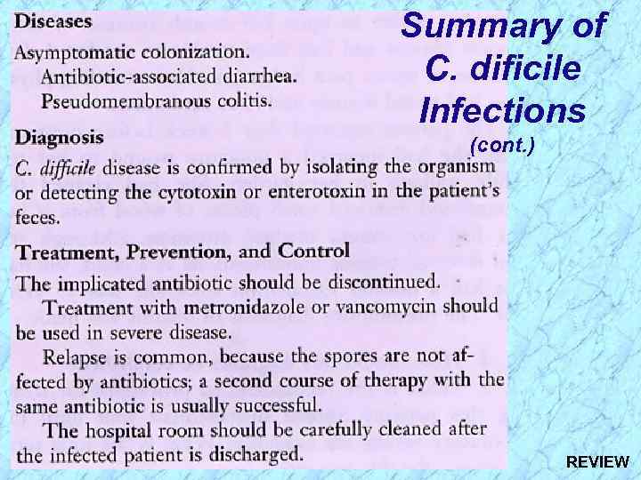 Summary of C. dificile Infections (cont. ) REVIEW 