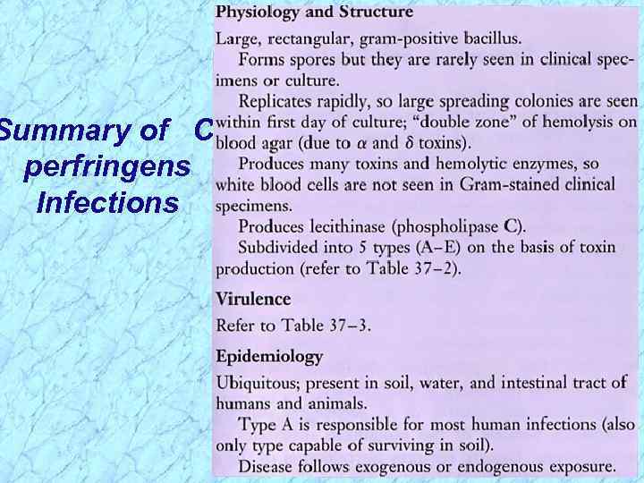 Summary of C. perfringens Infections 