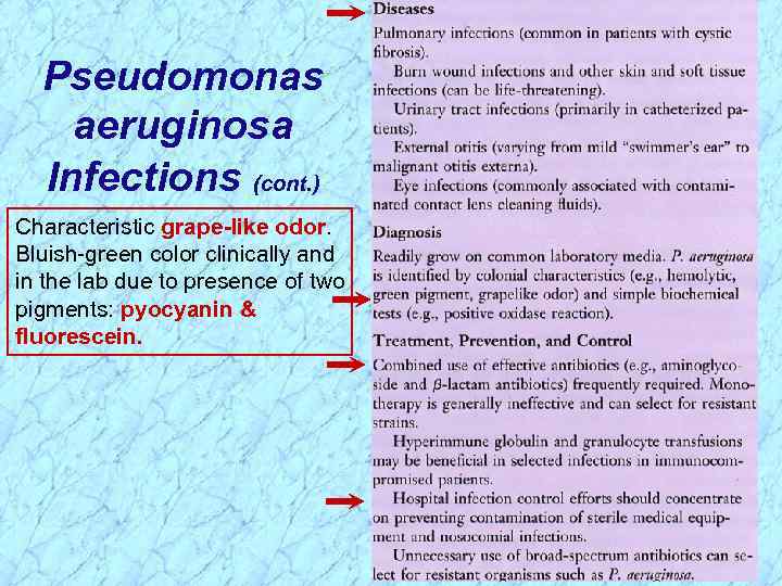 Pseudomonas aeruginosa Infections (cont. ) Characteristic grape-like odor. Bluish-green color clinically and in the