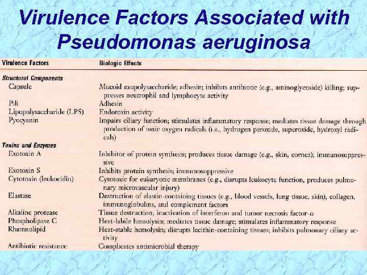 Virulence Factors Associated with Pseudomonas aeruginosa 