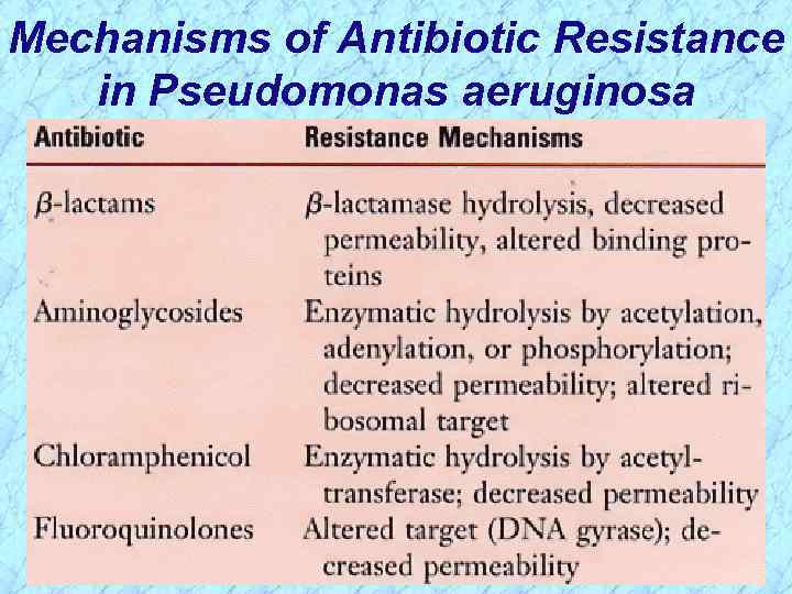 Mechanisms of Antibiotic Resistance in Pseudomonas aeruginosa 