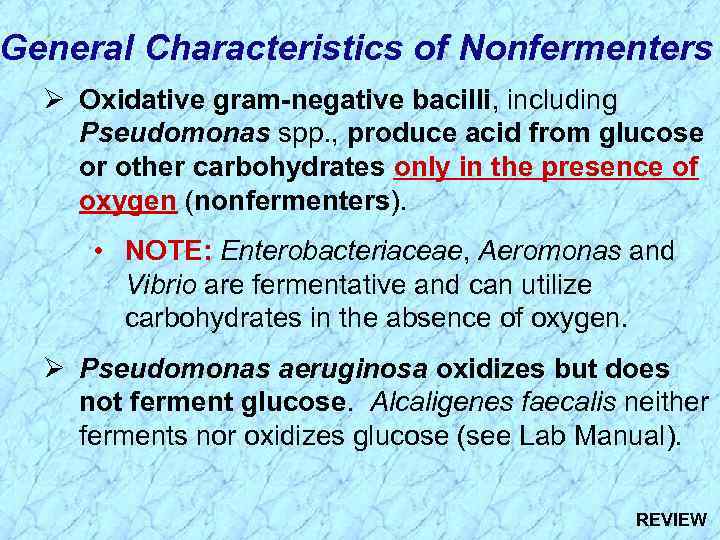 General Characteristics of Nonfermenters Ø Oxidative gram-negative bacilli, including Pseudomonas spp. , produce acid