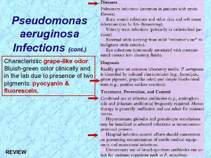 Pseudomonas aeruginosa Infections (cont. ) Characteristic grape-like odor. Bluish-green color clinically and in the