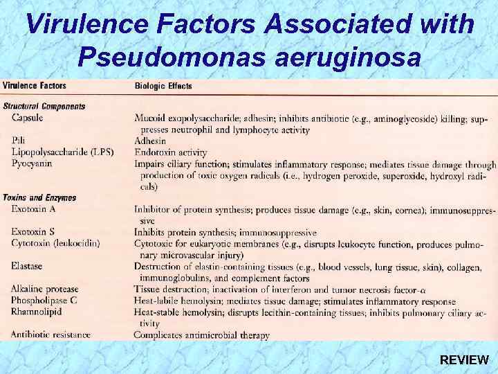 Virulence Factors Associated with Pseudomonas aeruginosa REVIEW 