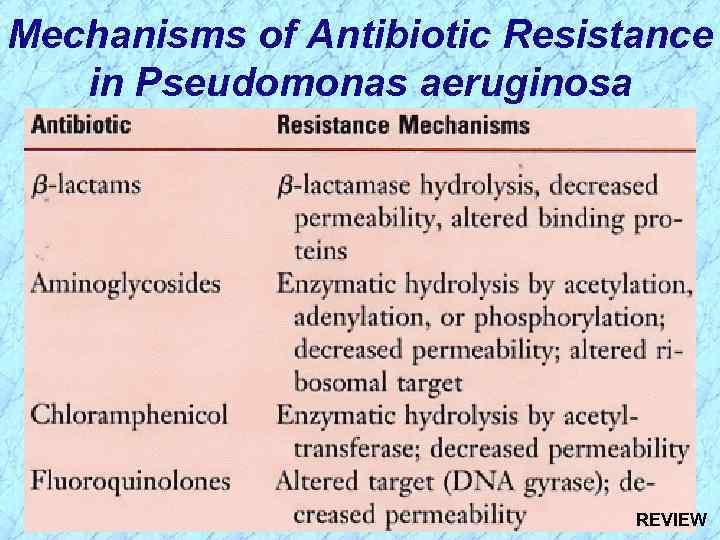 Mechanisms of Antibiotic Resistance in Pseudomonas aeruginosa REVIEW 