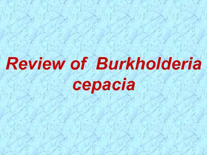 Review of Burkholderia cepacia 