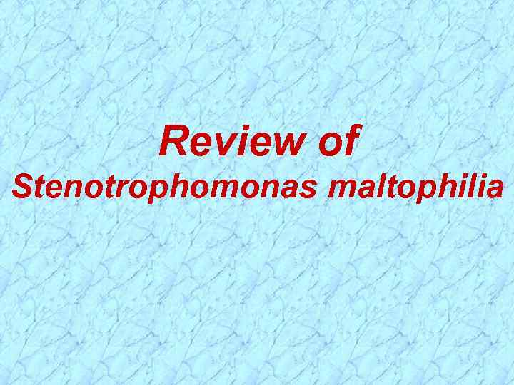 Review of Stenotrophomonas maltophilia 