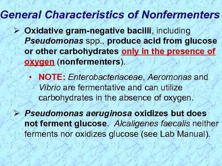 General Characteristics of Nonfermenters Ø Oxidative gram-negative bacilli, including Pseudomonas spp. , produce acid