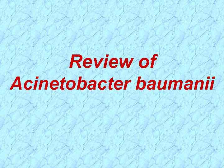 Review of Acinetobacter baumanii 