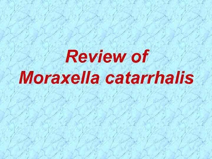 Review of Moraxella catarrhalis 