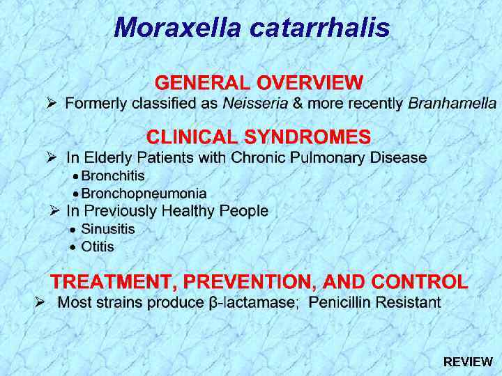 Moraxella catarrhalis REVIEW 