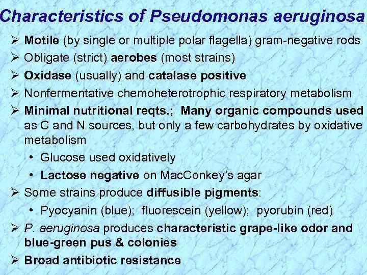 Characteristics of Pseudomonas aeruginosa Ø Ø Ø Motile (by single or multiple polar flagella)