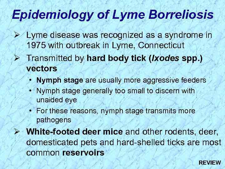 Epidemiology of Lyme Borreliosis Ø Lyme disease was recognized as a syndrome in 1975