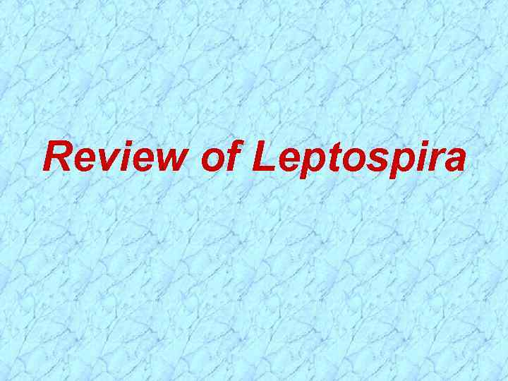 Review of Leptospira 