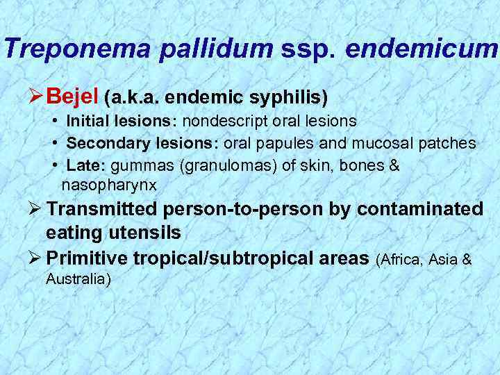 Treponema pallidum ssp. endemicum Ø Bejel (a. k. a. endemic syphilis) • Initial lesions: