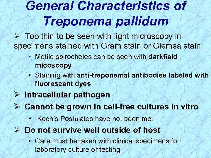 General Characteristics of Treponema pallidum Ø Too thin to be seen with light microscopy