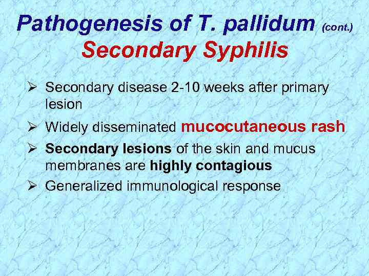 Pathogenesis of T. pallidum (cont. ) Secondary Syphilis Ø Secondary disease 2 -10 weeks