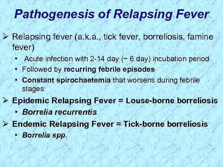 Pathogenesis of Relapsing Fever Ø Relapsing fever (a. k. a. , tick fever, borreliosis,