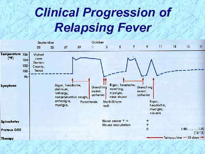 Clinical Progression of Relapsing Fever 