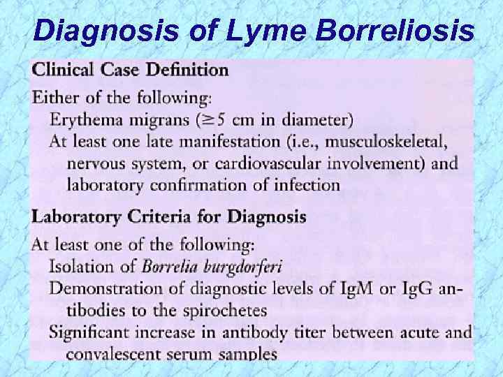 Diagnosis of Lyme Borreliosis 