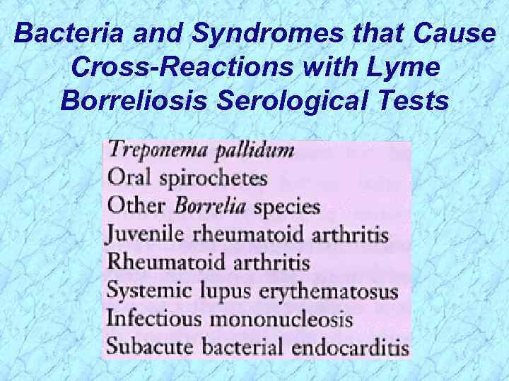 Bacteria and Syndromes that Cause Cross-Reactions with Lyme Borreliosis Serological Tests 