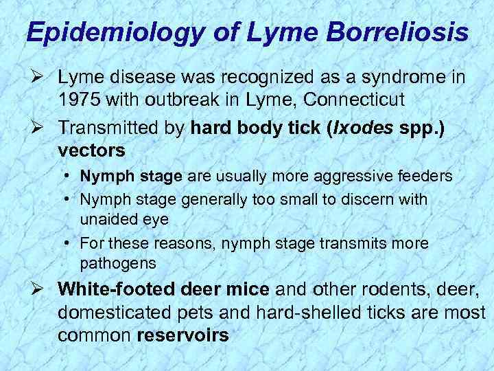 Epidemiology of Lyme Borreliosis Ø Lyme disease was recognized as a syndrome in 1975