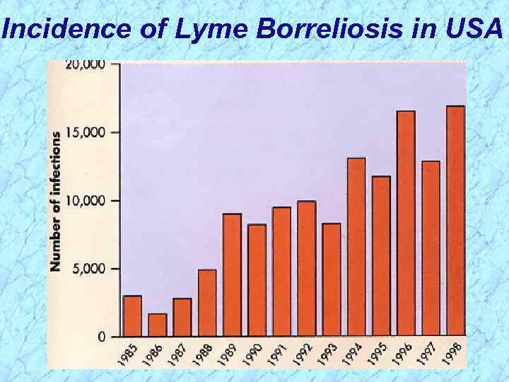 Incidence of Lyme Borreliosis in USA 