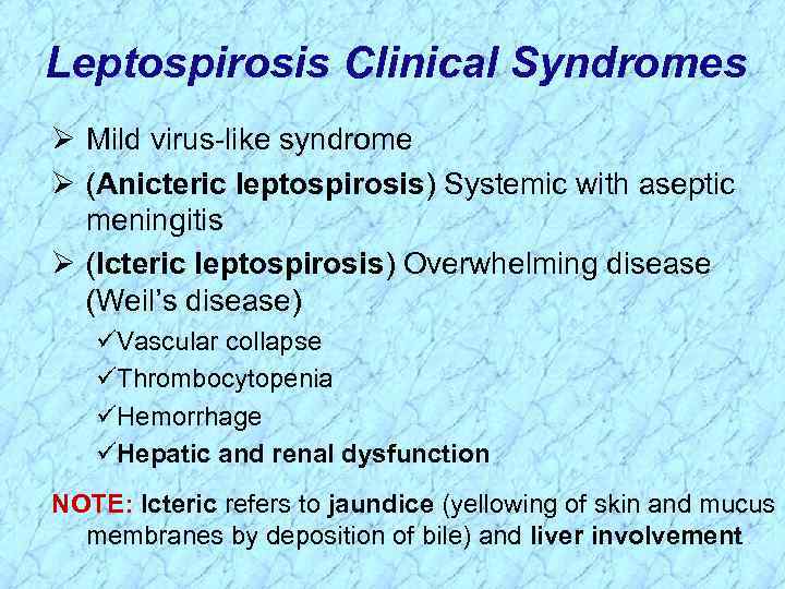 Leptospirosis Clinical Syndromes Ø Mild virus-like syndrome Ø (Anicteric leptospirosis) Systemic with aseptic meningitis