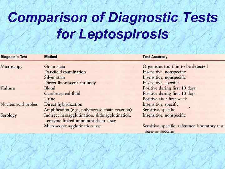 Comparison of Diagnostic Tests for Leptospirosis 