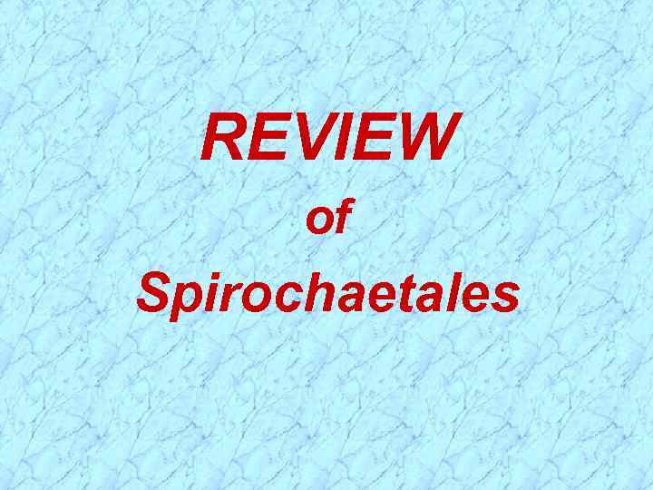 REVIEW of Spirochaetales 