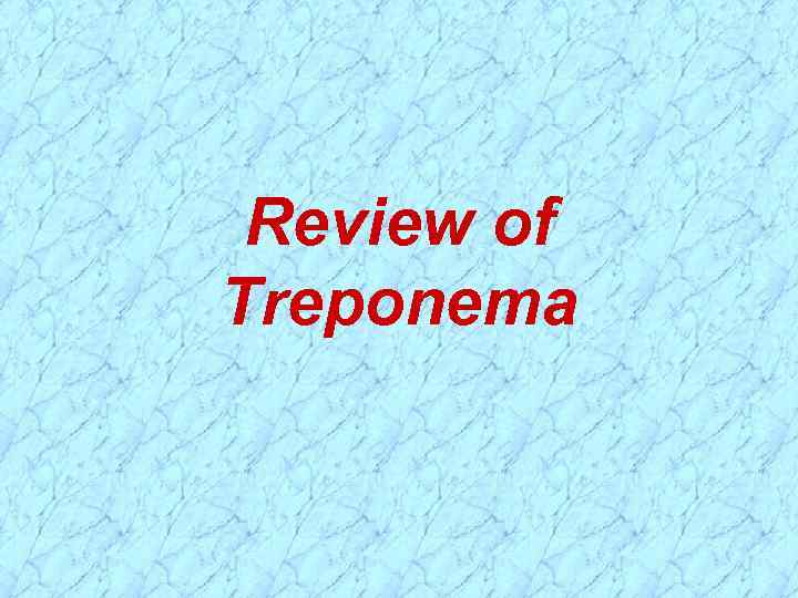 Review of Treponema 