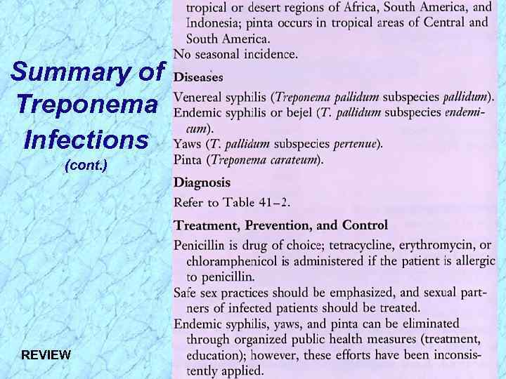 Summary of Treponema Infections (cont. ) REVIEW 